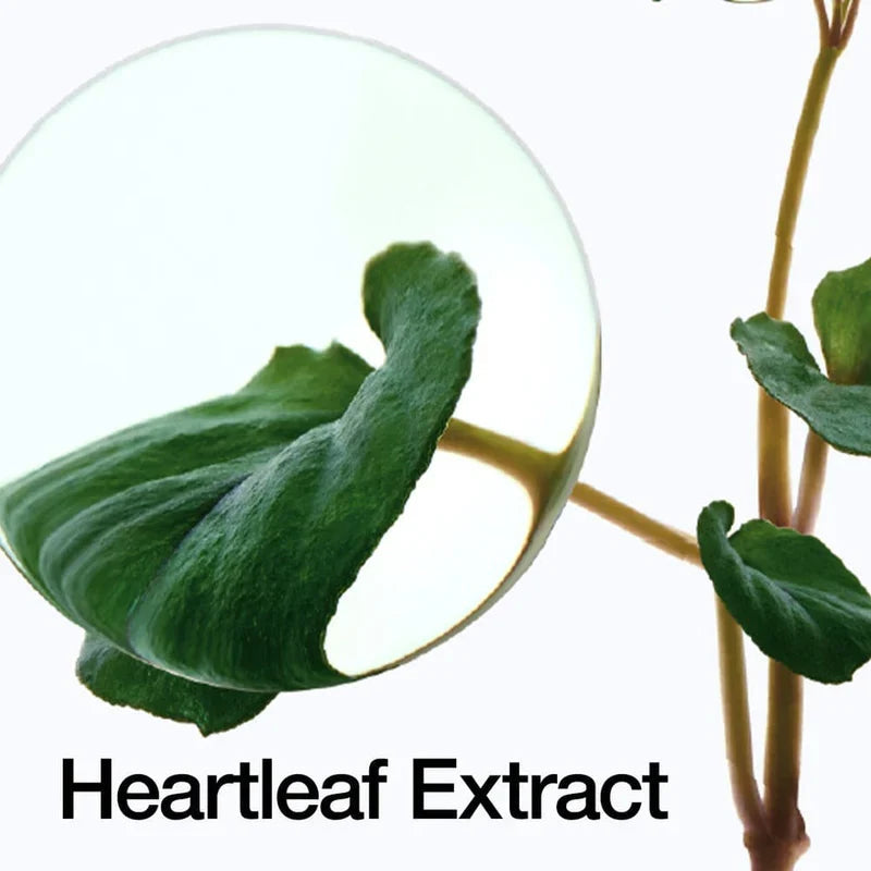 Anua Heartleaf 70 Intense Calming Cream Glow Crush Beauty