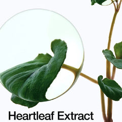 ANUA heartleaf 77% soothing toner 250ml Glow Crush Beauty