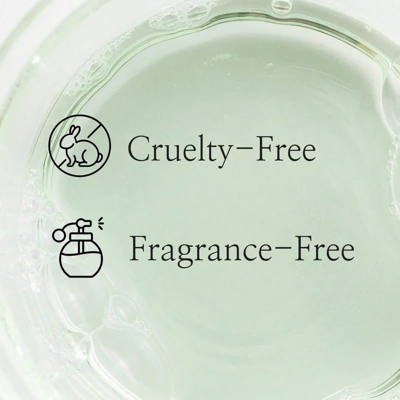 Beauty Of Joseon Green Plum Refreshing Toner AHA + BHA Glow Crush Beauty