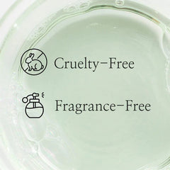 Beauty Of Joseon Green Plum Refreshing Toner AHA + BHA Glow Crush Beauty
