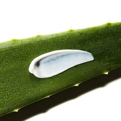COSRX Aloe Soothing Sun Cream SPF50+ PA+++ 50ml Glow Crush Beauty