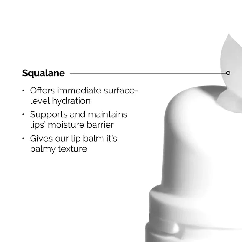 The Ordinary Squalane + Amino Acids Lip Balm Glow Crush Beauty